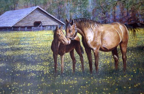 Horses -Ken Taylor